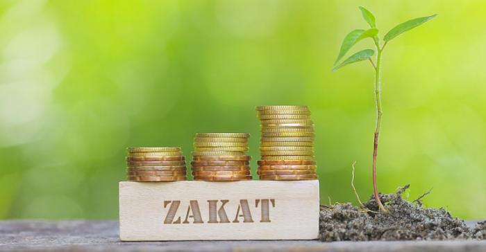 Ilustrasi Membayar Zakat