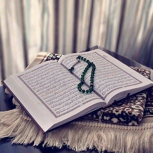 percetakan alquran dan pernerbit terdekat